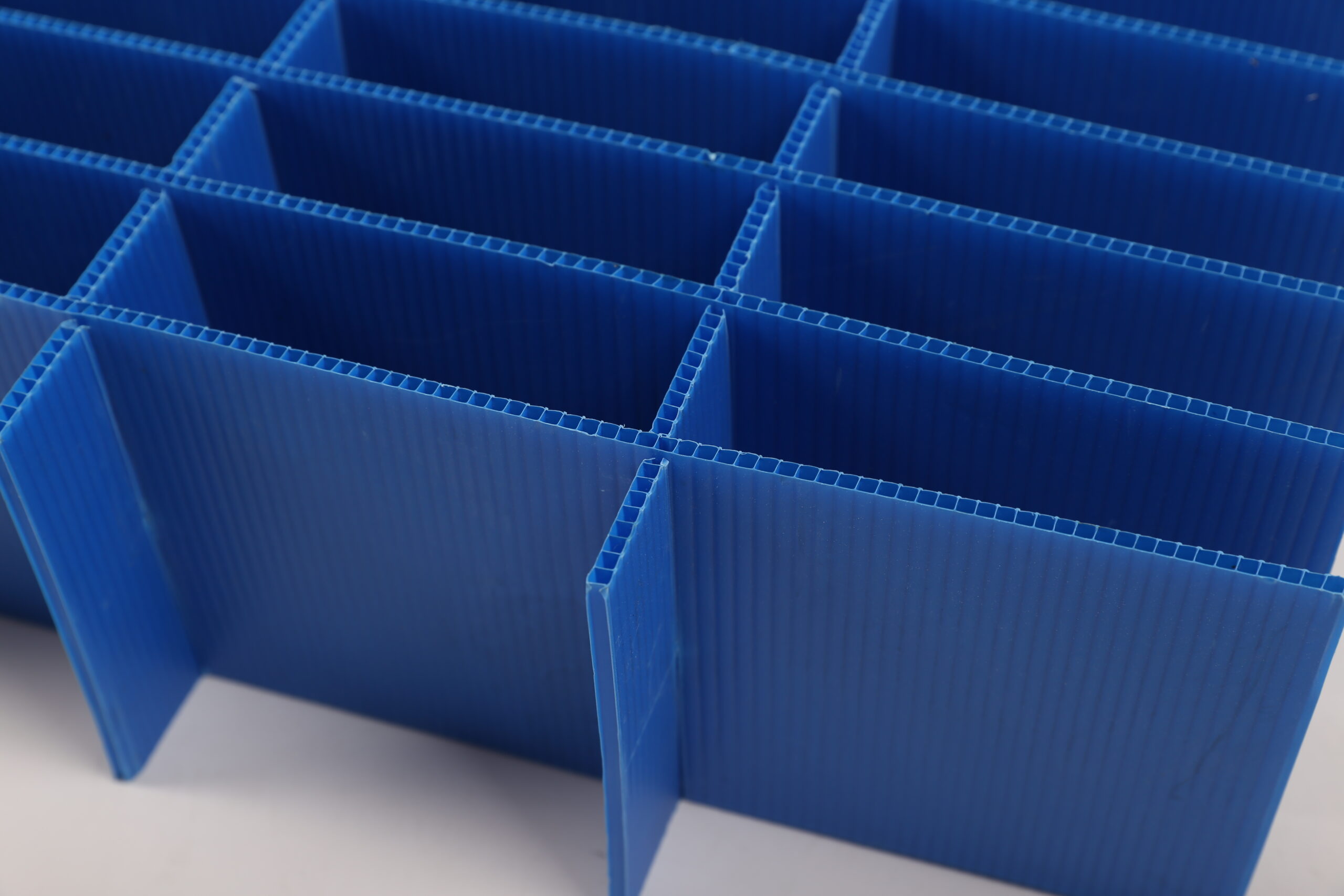 AG真人·国际(中国游)平台官方网站